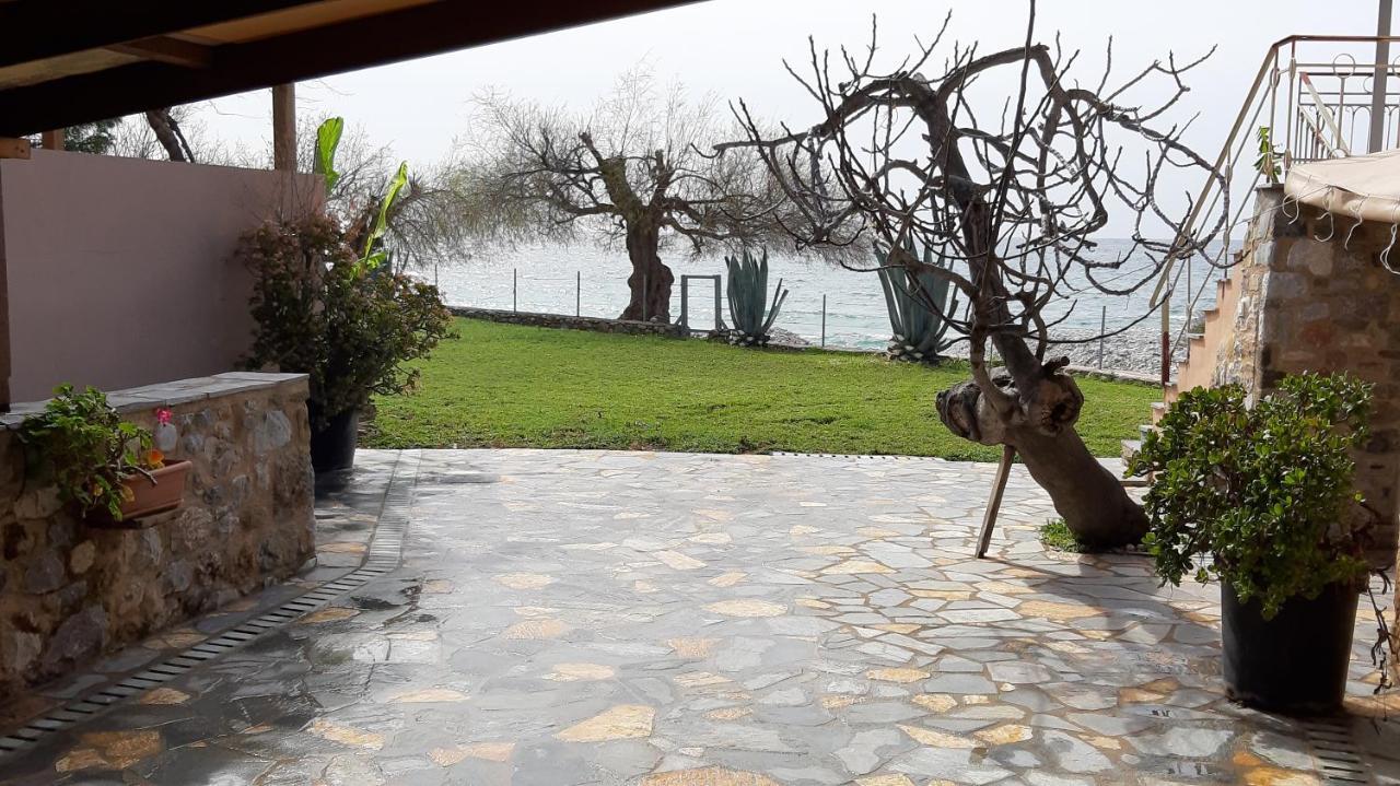Malsova-Home Kotronion  المظهر الخارجي الصورة